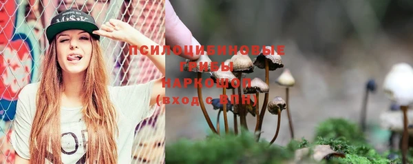 тгк Абдулино