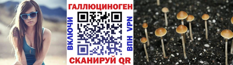 Псилоцибиновые грибы прущие грибы Лысьва