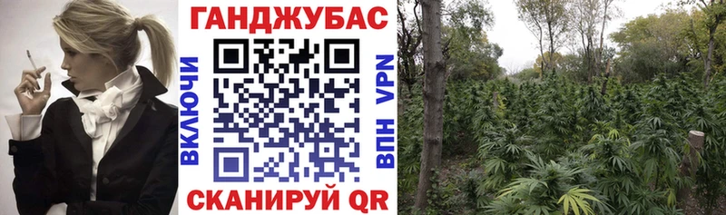 Канабис VHQ  Лысьва 
